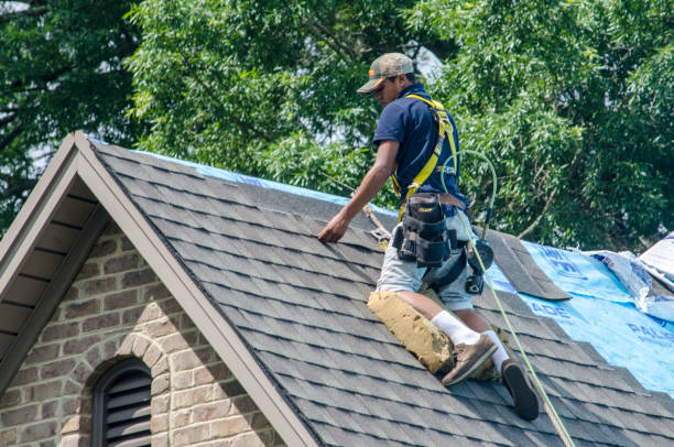 Best Local Roofing Companies  in Mansfield Center, CT